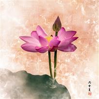 梦荷