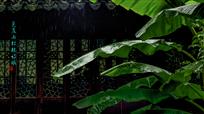 芭蕉雨打枕诗眠
