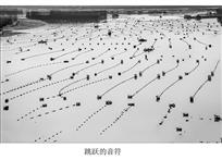 跳跃的音符