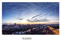凤迎朝阳
