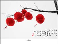 中国年·红灯挂