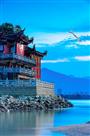 日落西山伴鹭归
