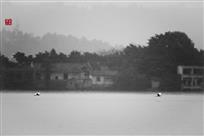 烟雨古湖