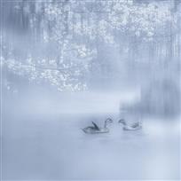 春江水暖鸭先知