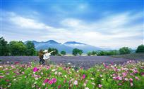 花开的声音