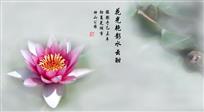 花光艳影水云酣（国画意）