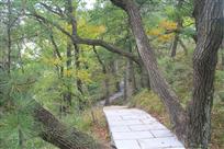 山顶步道