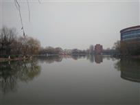 早春校园水景