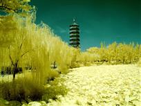 致远塔 （红外）