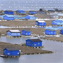 海上渔村