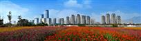 都市花海