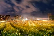 都市花海夜色
