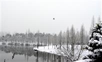 东湖雪景