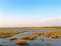 油画湖景