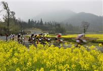 风驰电掣