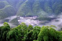 木坑竹海