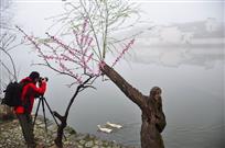 桃花源里人家