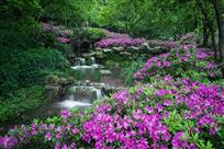 春申花谷