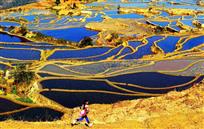 回家的路