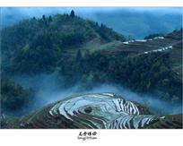 龙脊梯田
