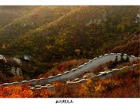 秋到仰天山