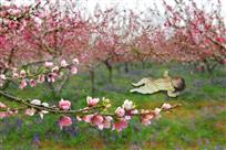 我们的祖国是花园