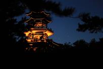松楼夜观
