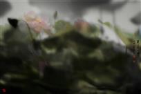 芙蓉入梦