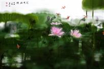 花光潋滟