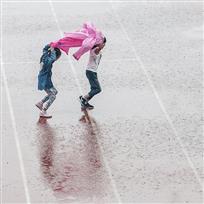 雨燕