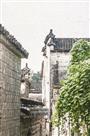 悠悠古韵