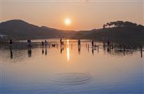 《美丽乡村醉晏湖》