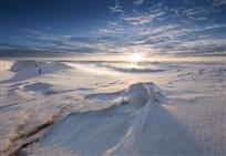 《北风卷地飞雪傲》