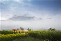 《春黄又至云水绕》