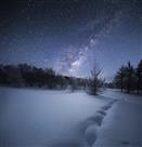 《穿过雪垠的夜》