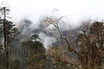 层林尽染