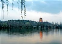 西湖春早