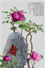 寿同富贵
