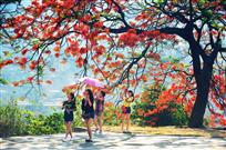 花样年华