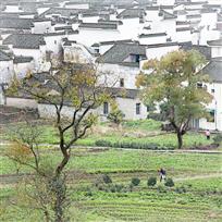 美丽家园