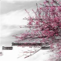 古宅春色