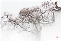 事事(柿柿)如意