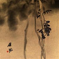 滕趣