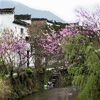 桃园人家