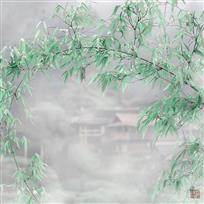 雨竹人家