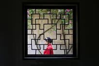 艺圃窥春