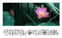 爱莲说