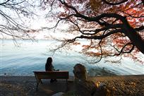 西湖醉夕阳