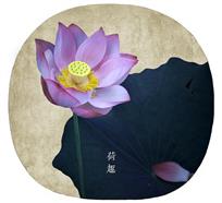 荷趣