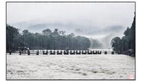 烟雨陡坡塘
